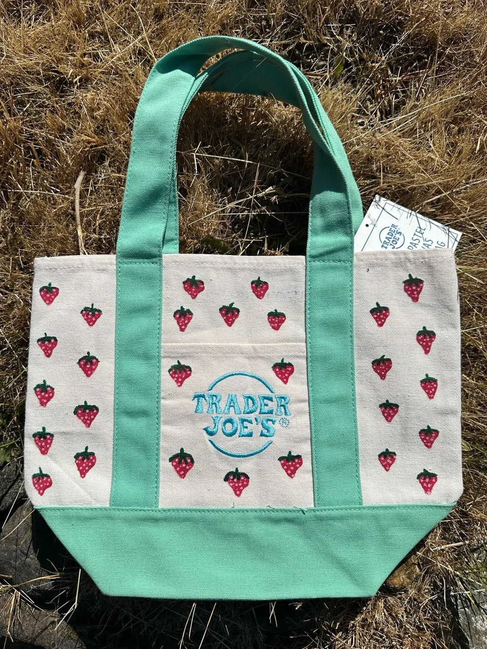 Hand Painted Trader Joe's Strawberry Mini Canvas Tote